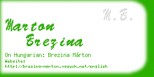 marton brezina business card